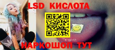 прущие грибы Тула