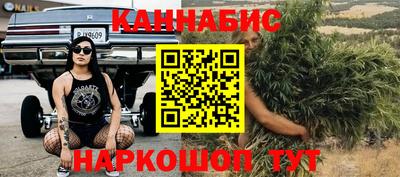 прущие грибы Тула