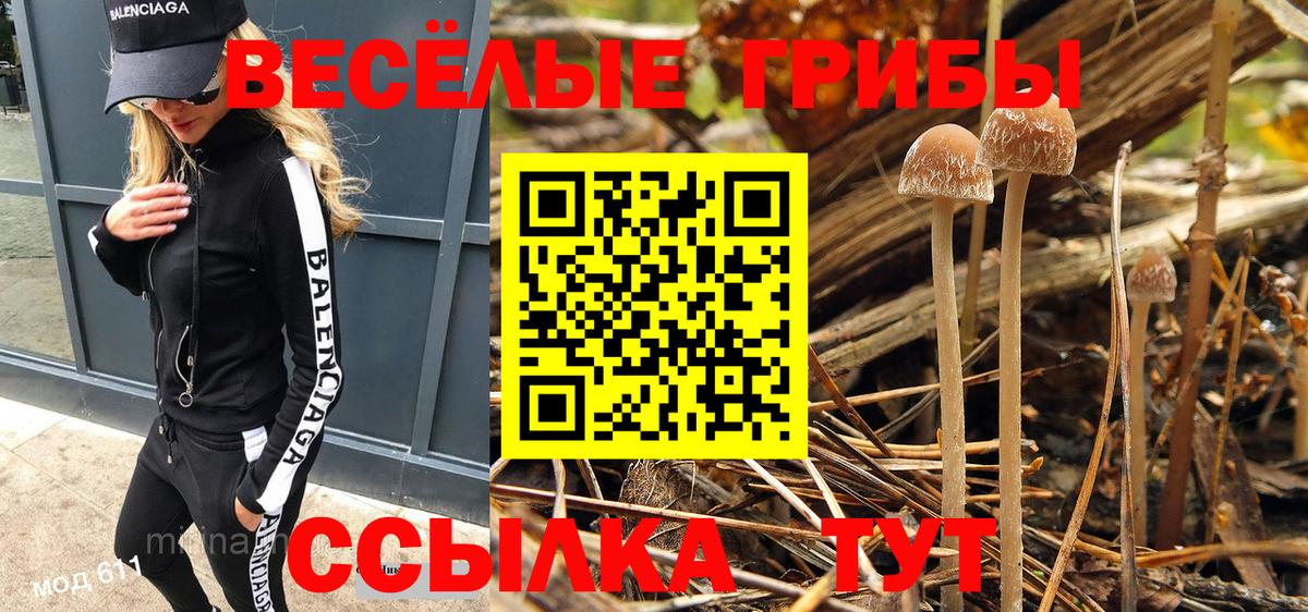 Псилоцибиновые грибы Cubensis  Вход с VPN  Орёл 